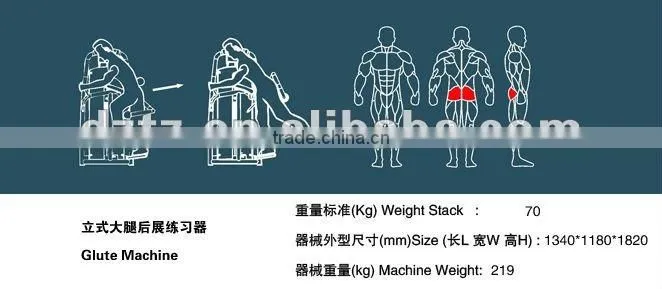 2014new style Body Exercise Machine/Glute machineTZ-6022