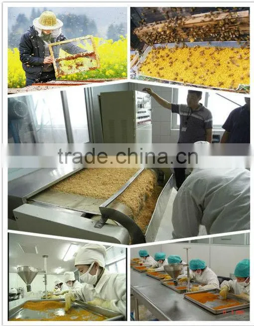 buy bee pollen from Sinova
