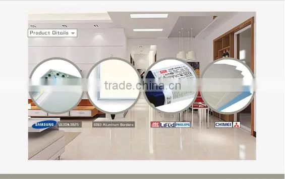 Factory Price 24 W Dimmable Led Panel Light 300*600 mm With 5 warranty