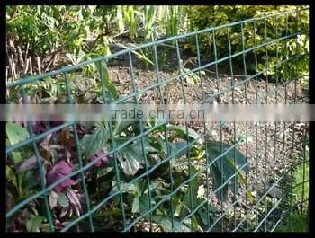 Chicken plastic extruded netting/Poultry netting