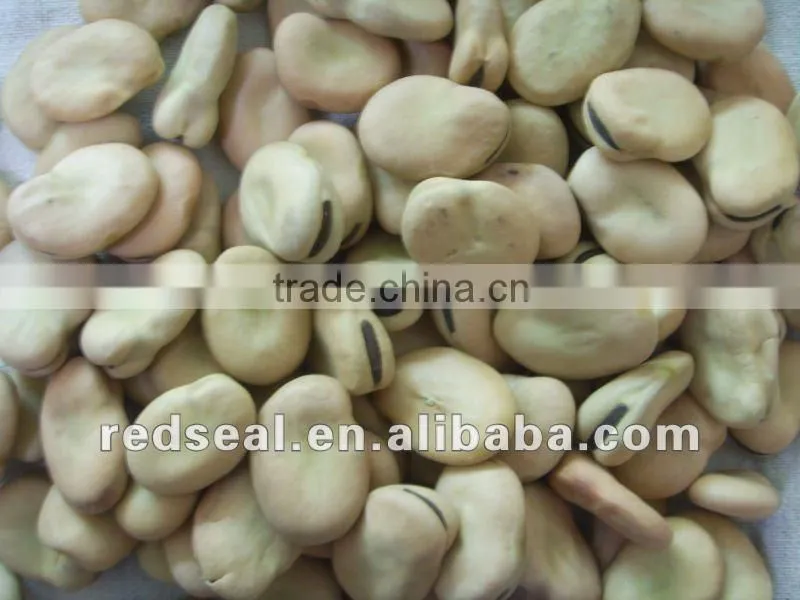 Organic Small Red beans