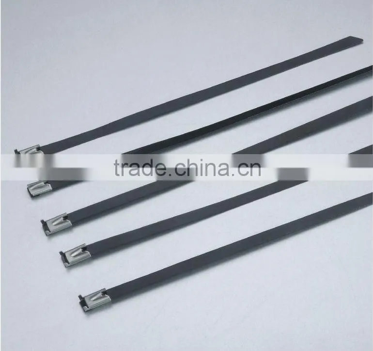 Stainless Steel Tie (ladder type ) 12*200