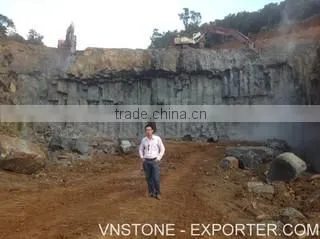 Villa Stone Company Limited company overview - view 1