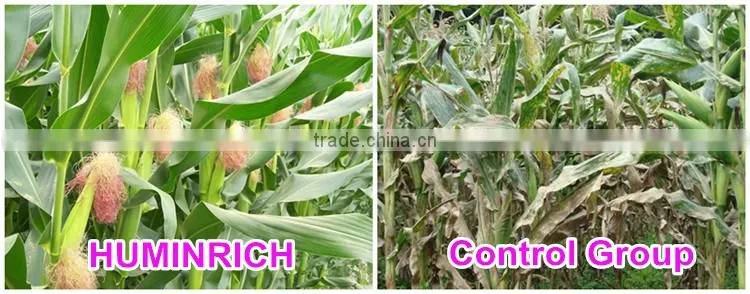 FAQ 13--SH9071 Huminrich Humate Soil Conditioner
