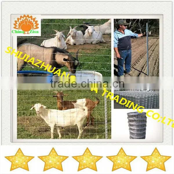 High quality deer farm steel fence factory