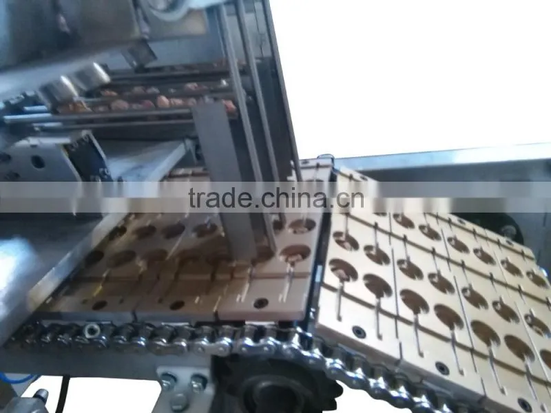 New Designed Sour Taste Prune Brown Sugar Lollipop Production Line