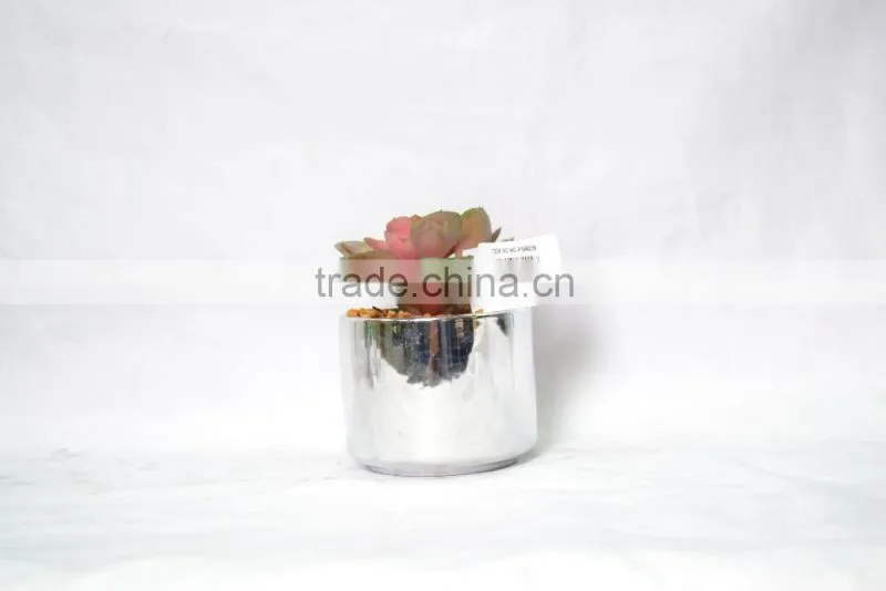 Mini Artificial succulent plants with plastic pot for indoor decoration