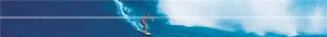 Cheap longboard fins surfboard fins/plastic fiberglass surfboard fins