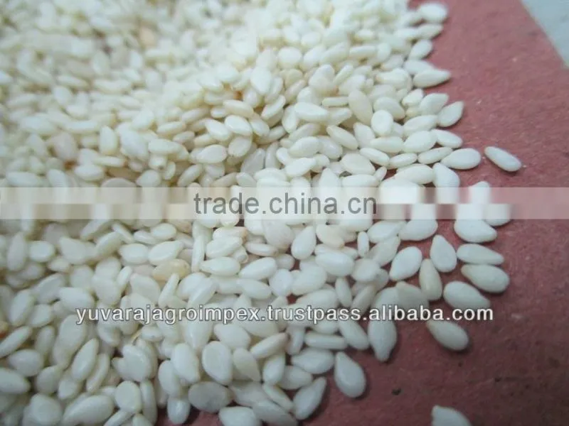 Sesame Seeds in Gujarat