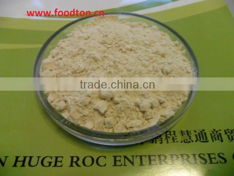 wheat gluten