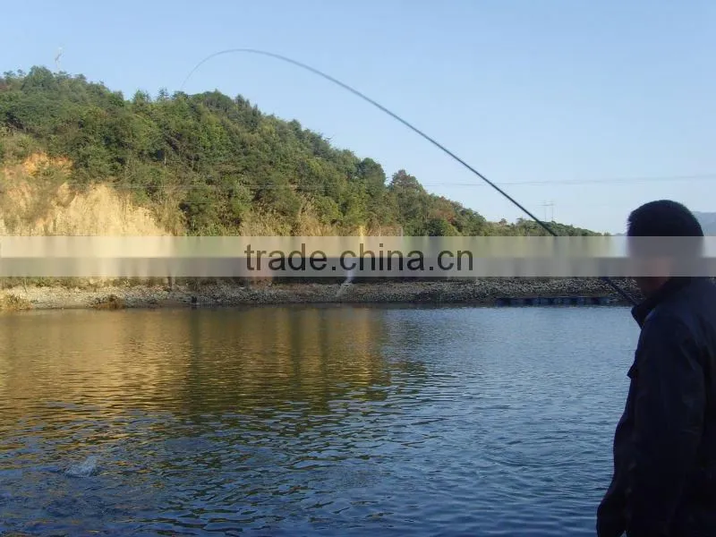 frozen tilapia seafood fish