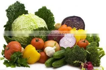 2014 HOT SALE portable meat cutter