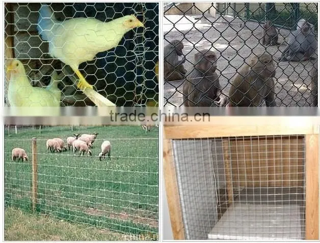 Galvanized Hexagonal Wire Mesh for chicken fence&highway fence2016