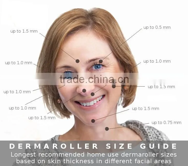 Hot sale 600 Titanium Microneedle Scar Derma Roller Dermaroller Micro Needle Skin Therapy