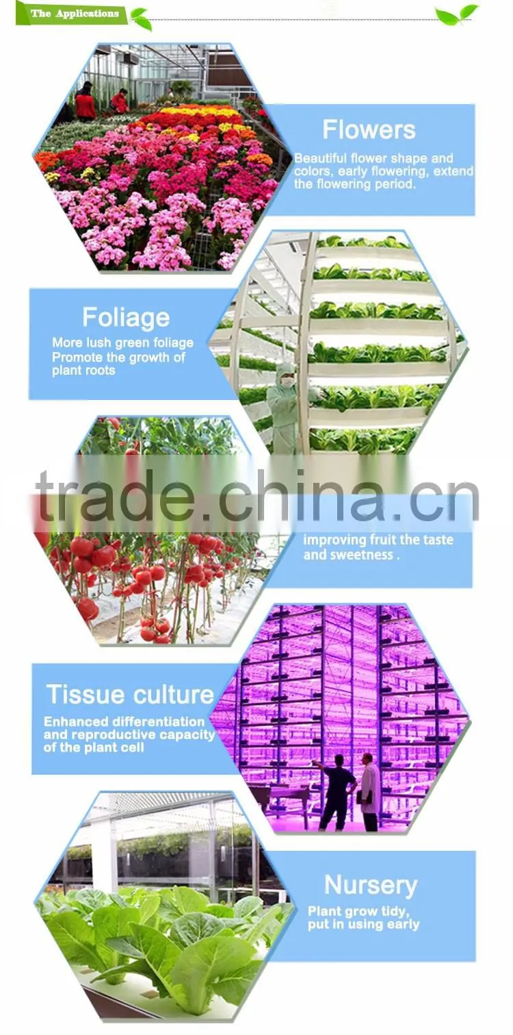 China full spectrum wholesale led grow lights