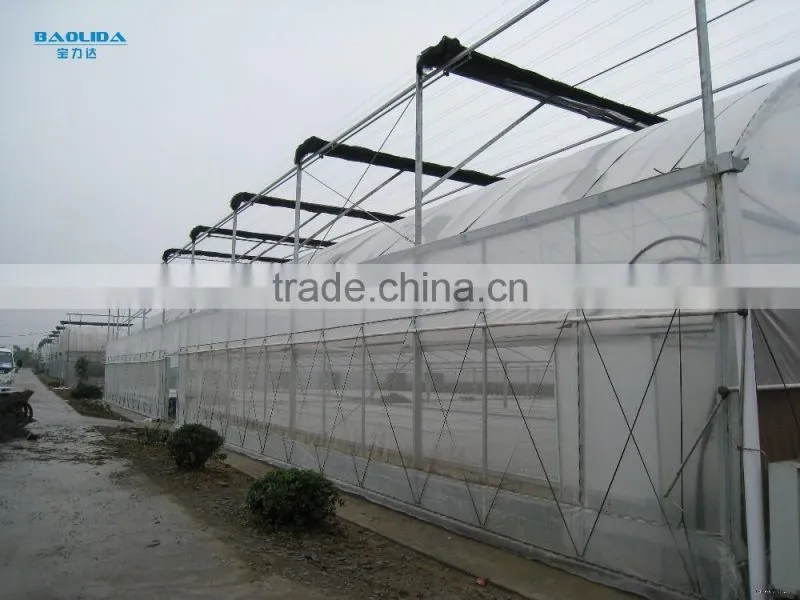 Manufacture China greenhouse for agricultural