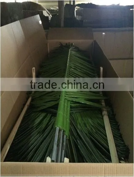 SJ7001027 Preserved outdoor plam tree leaf with UV protection
