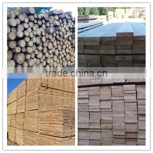 1220*2440mm AA grade finger joint pine board