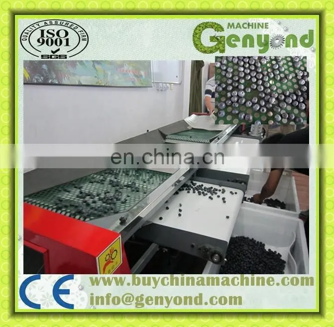 Professional Blueberry Sorter/Fruit Size Sorter Machine