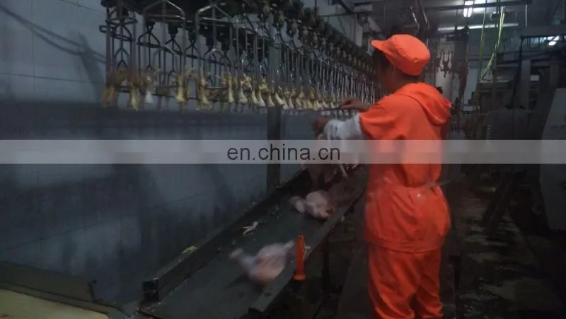 Chuangyuan TM-50 With processing 3-5 chicken /poultry plucker/chicken feather removing machine
