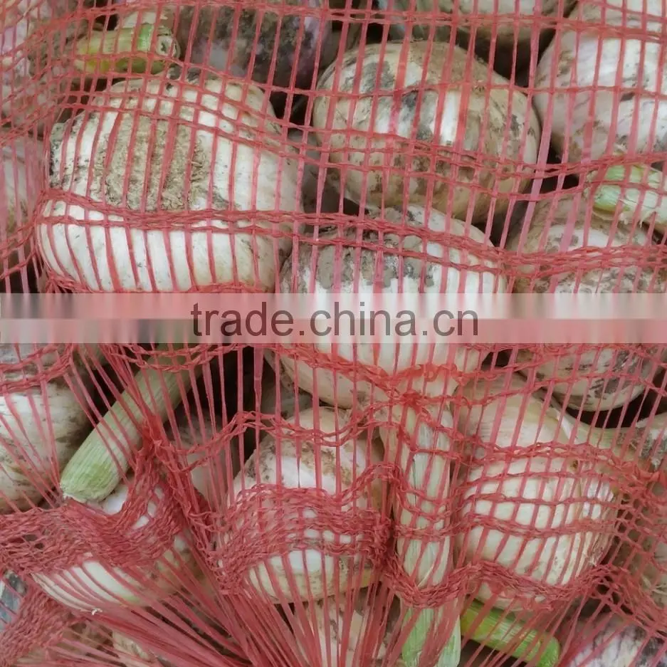 Pure white garlic snow white garlic Jinxiang white garlic