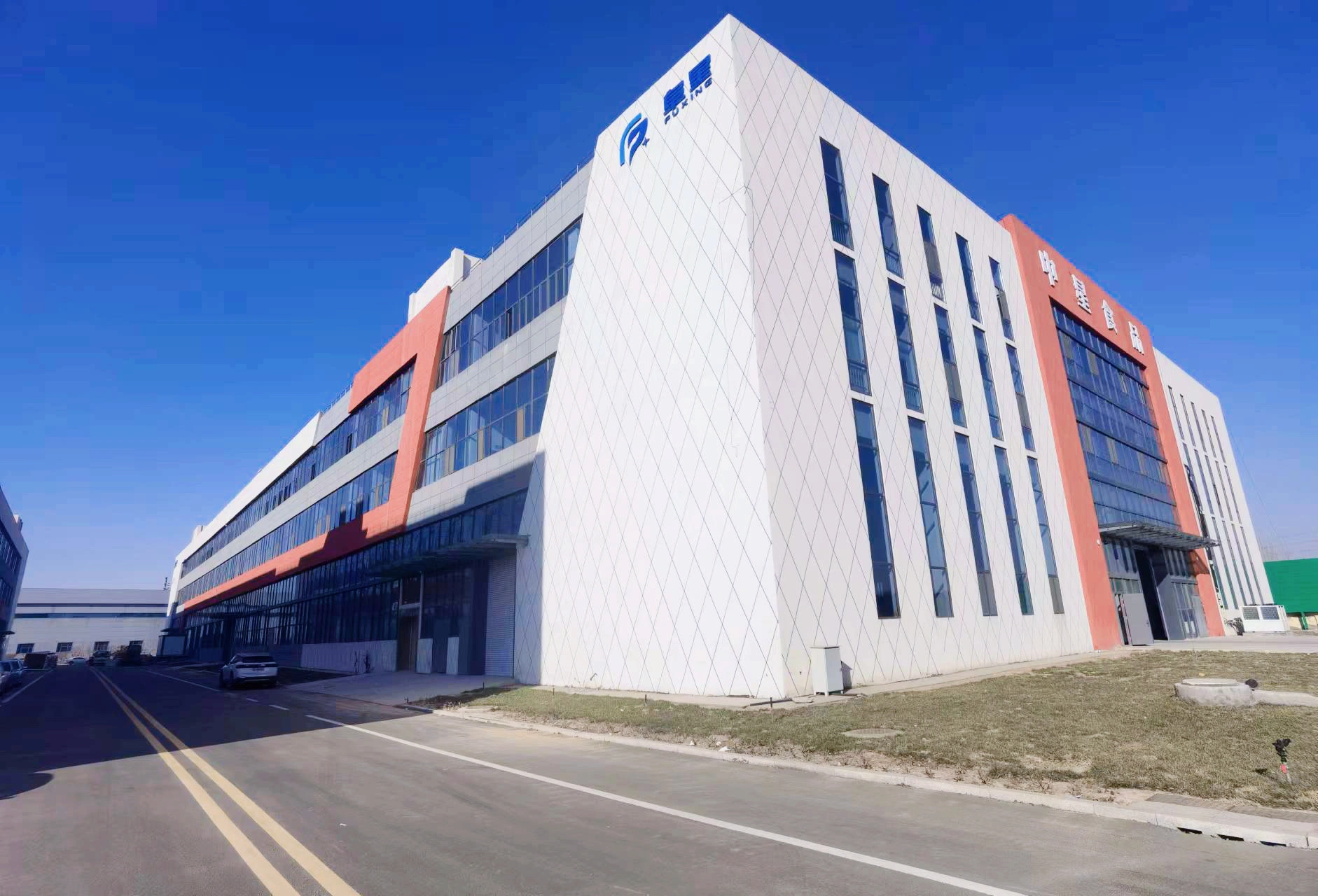 Shandong Zhongxing Food Technology Co., Ltd company overview - view 1