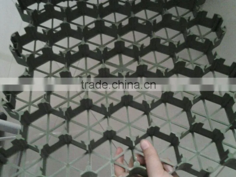 Plastic grass paver / grass planting plate