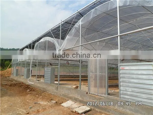 Widly Used Greenhouse Seal