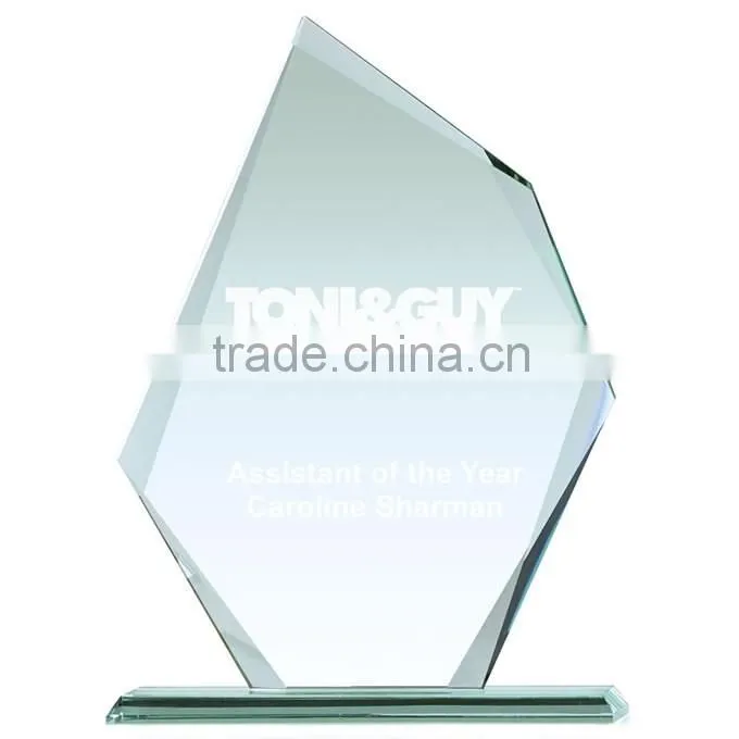 Appreciation, Employee, Thank You 6 1/2" Acrylic Award Trophy FREE engraving