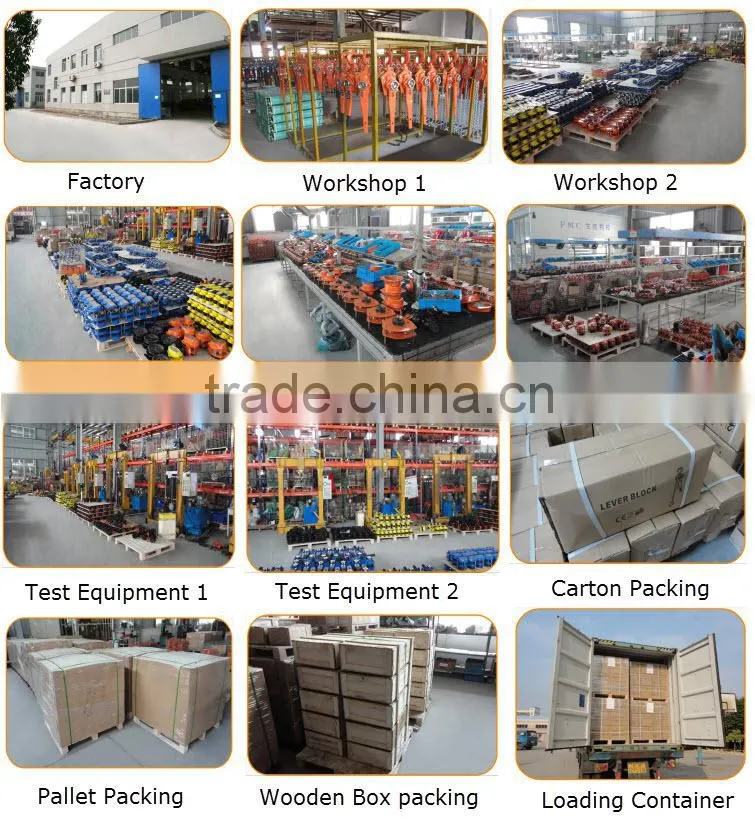 electric hoist crane 2 tons