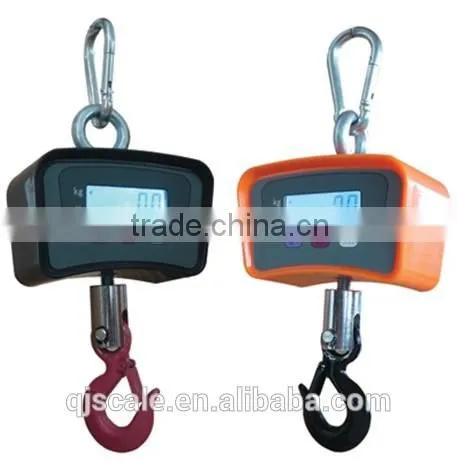 Digital Small Crane weighing scale