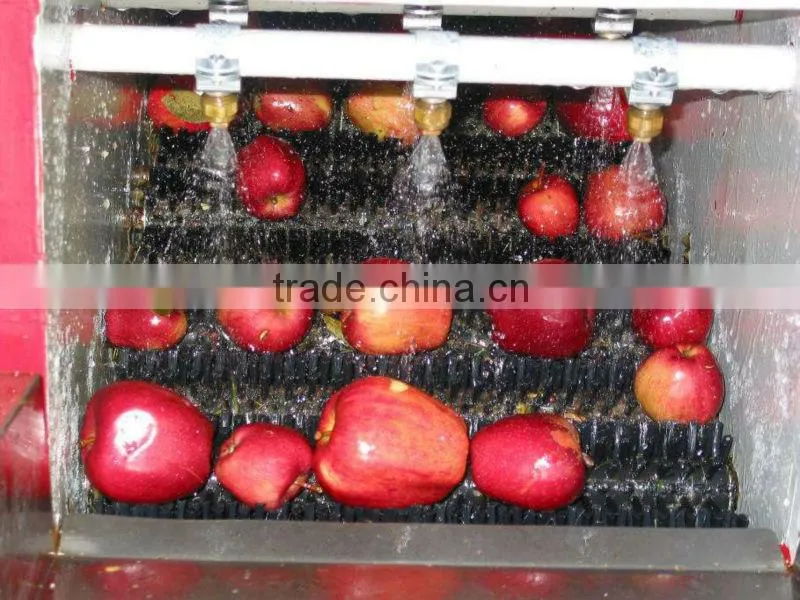 8.5 TONS Carrot brush washing machine