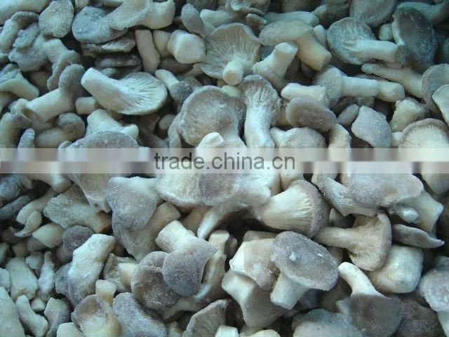 Supply China new crop Frozen baby oyster