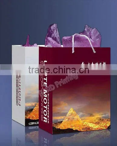 Gift bags with die-cut handle