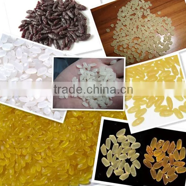 Automatic Artificial Enriched Nutrition Rice Processing Line