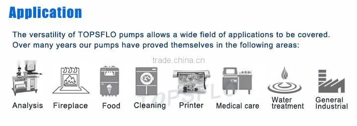 DC Brushless Diaphragm 6v 12v 24v RF Beauty device vacuum SIP and cold spray Pump