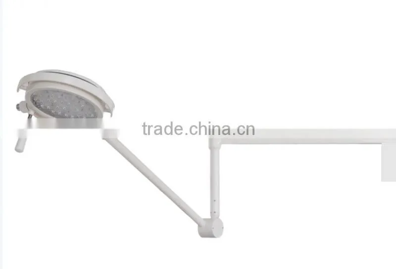 veterinary instruments
