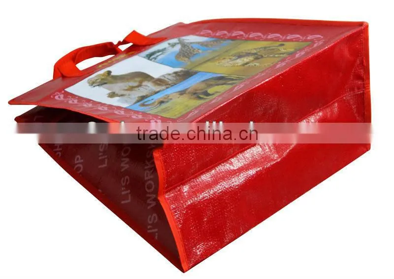 pp zipper shopping bag with nylon handle pvc binding(2W-2043)