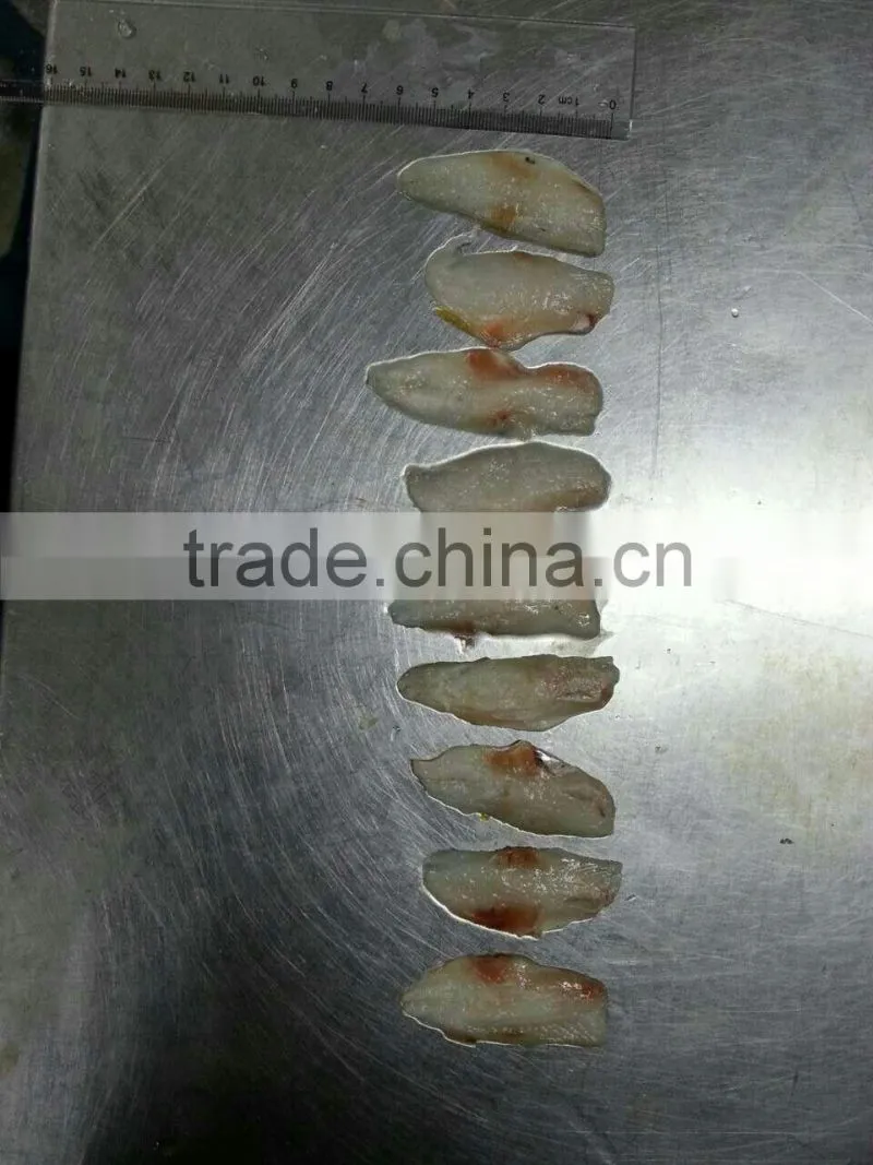 frozen leather jacket fish