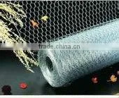 chickeng wire netting / hexagonal wire netting (manufacturer ISO9001 )