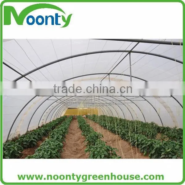 Single span roof vent tropical climate greenhouse