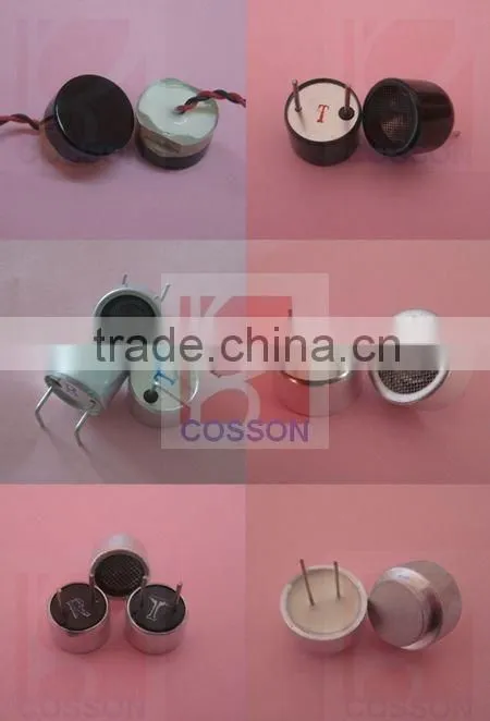 R4010A1 Ultrason sensor