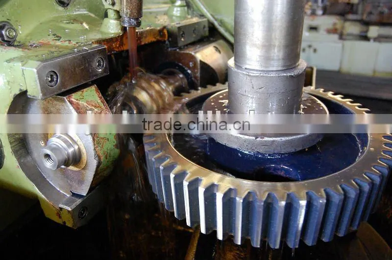 Common oil-pump unit