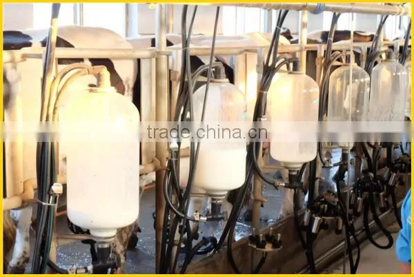 KLN herringbone type glass bottle milking parlor