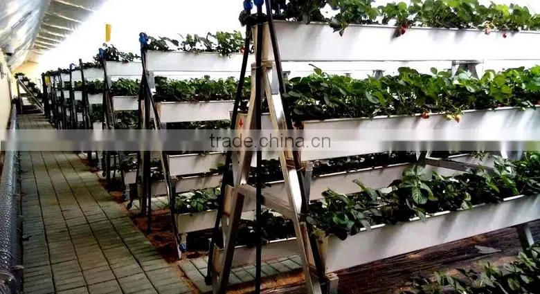 Hydroponic gutter with food grade