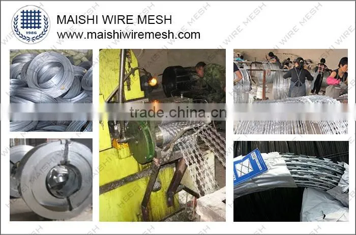 CBT-65 Razor Blade Wire for Fencing with ISO 9001 system