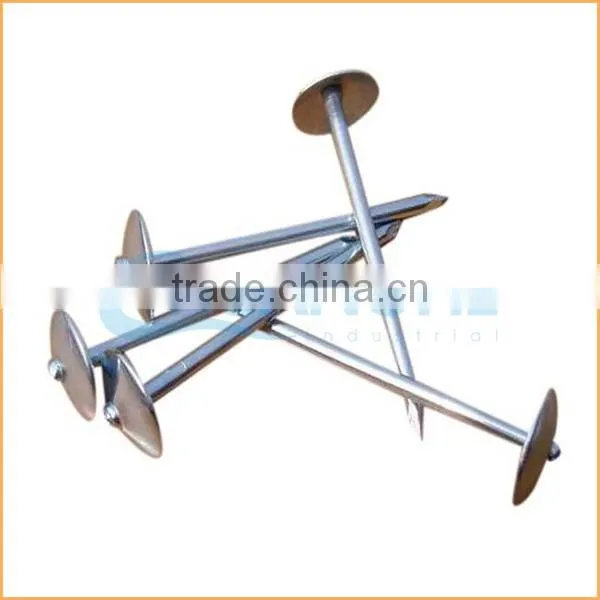 Top quality flat top yellow coated ring/smooth coil roofing nails trusted Chuanghe suppliers from alibaba com