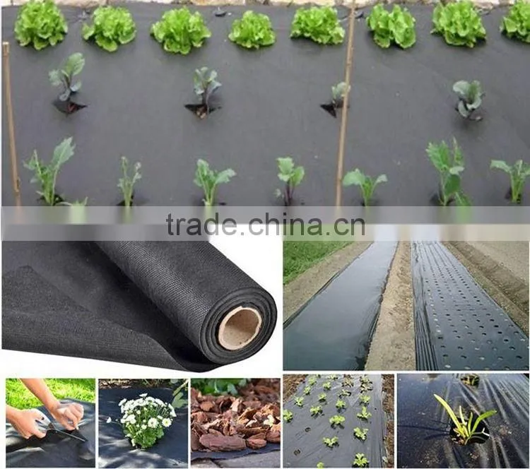 Ruixin non woven agricultural ground weed mat made in China 2015