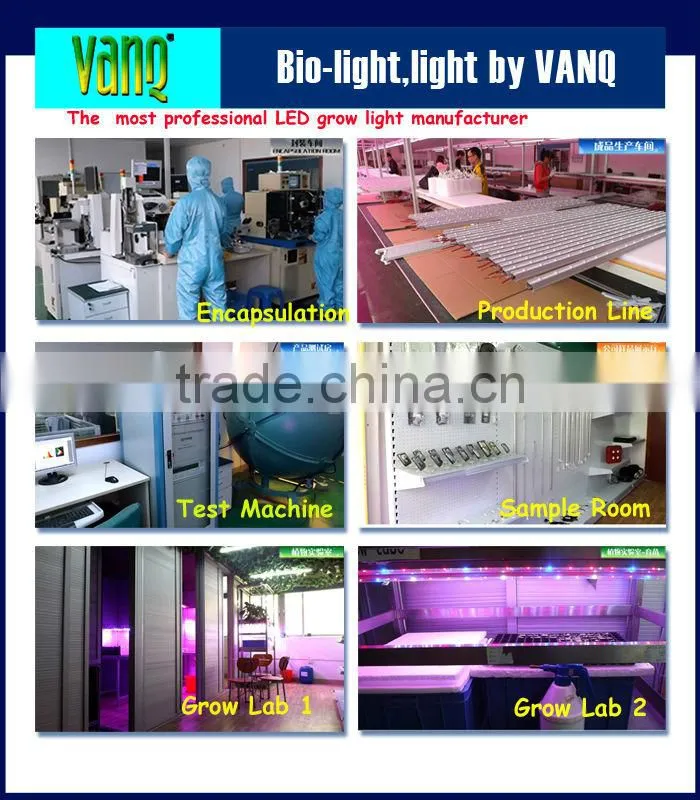High Power IR LED ,42mil Epileds Chip,Powerful IR LEDs 200W/300W