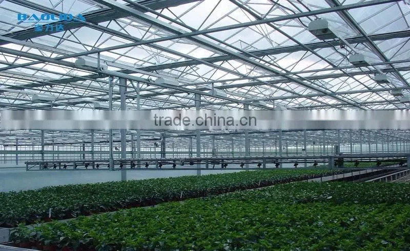 greenhouses for roses